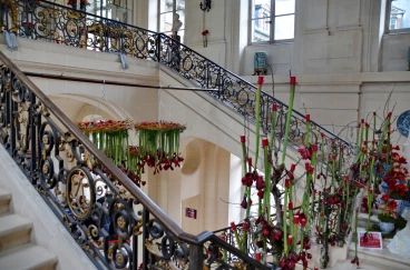 Amaryllis 2022 (139)