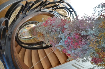 Amaryllis 2024 (088)