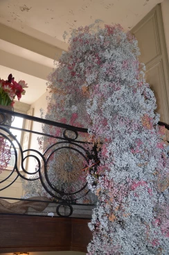 Amaryllis 2024 (087)