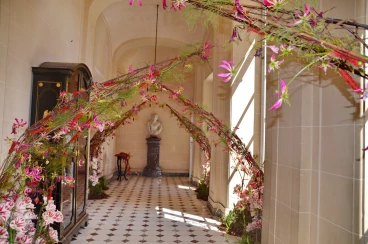 Amaryllis 2018 (074)