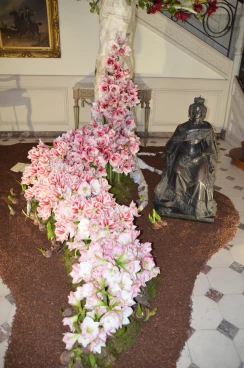 Amaryllis 2018 (045)