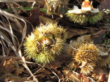 Parcours 2022 Ec 016