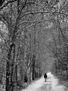 Parcours 2022 Ec 007