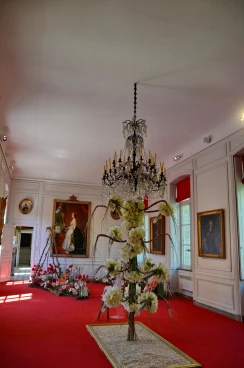 Amaryllis 2018 (055)