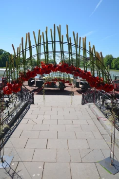 Amaryllis 2018 (088)