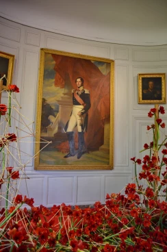 Amaryllis 2018 (054)