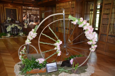 Amaryllis 2018 (069)