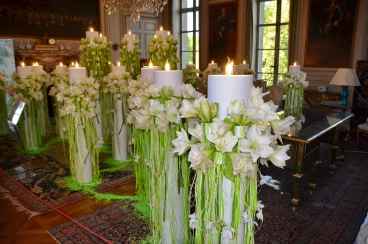 Amaryllis 2018 (080)