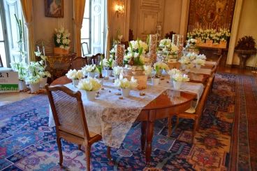 Amaryllis 2018 (075)