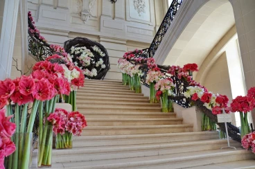 Amaryllis 2018 (017)