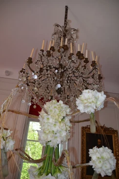 Amaryllis 2018 (052)