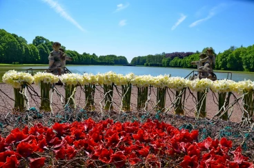 Amaryllis 2018 (092)