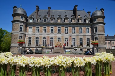 Amaryllis 2018 (005)