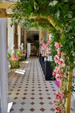 Amaryllis 2018 (038)