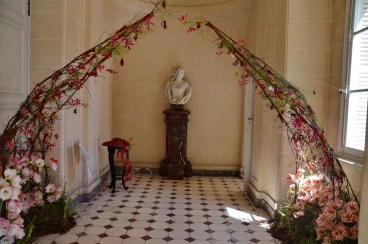 Amaryllis 2018 (073)