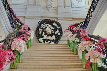 Amaryllis 2018 (020)