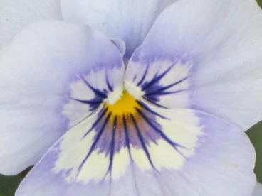 Parcours 2023 Thoricourt 021