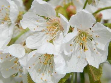 Parcours 2023 Thoricourt 026