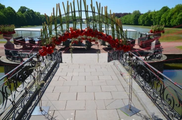 Amaryllis 2018 (087)