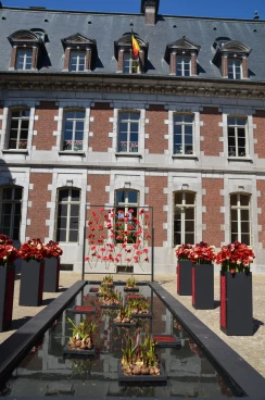 Amaryllis 2018 (014)