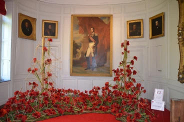 Amaryllis 2018 (053)