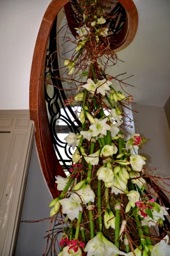 Escalier 02-05-23 14-53-00