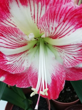 Parcours 2023 Thoricourt 002