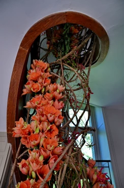 Escalier 05-05-18 13-17-14