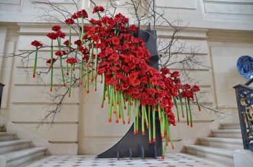 Escalier 30-04-19 14-58-24