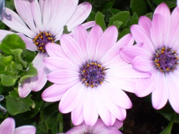 Parcours 2023 Thoricourt 020