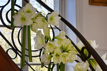 Escalier 19-04-17 14-40-17