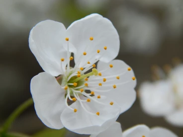 Parcours 2023 Thoricourt 029