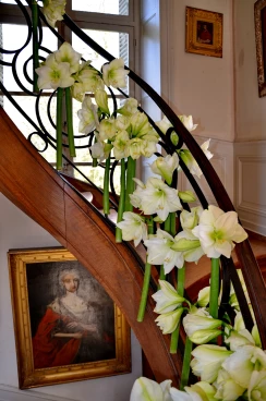 Escalier 19-04-17 14-40-22