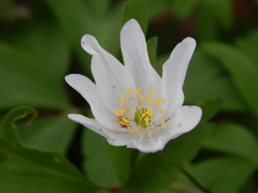 Parcours 2023 Thoricourt 015