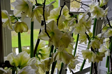 Escalier 22-04-17 14-19-54