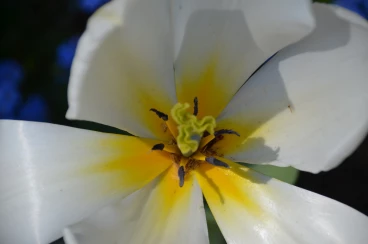 Parcours 2023 Thoricourt 004