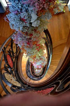 Escalier 24-04-24 14-29-19