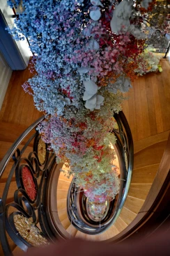 Escalier 24-04-24 14-29-21