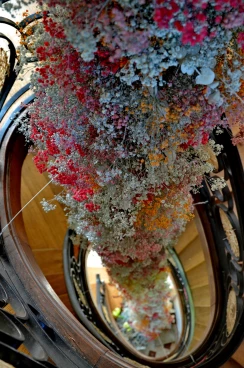 Escalier 24-04-24 14-33-22