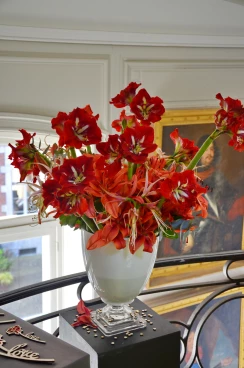 Escalier 18-04-25 17-11-32