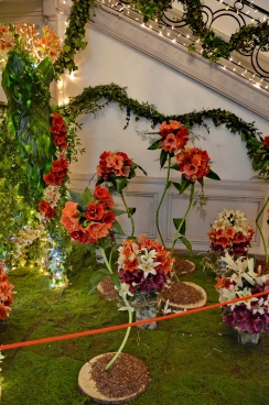 Escalier 18-04-25 16-51-29