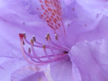 Parcours 2023 Thoricourt 007