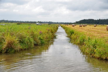 Eau 31-08-21 15-44-43 0007