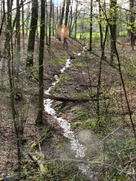 Eau 31-03-21 17-55-57 0010