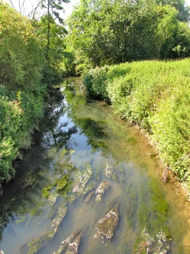 Eau 13-07-25 10-36-52 0011