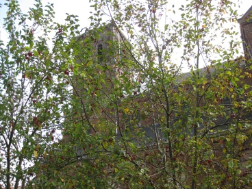 Ecaussinnes Sacre Coeur 7