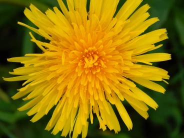 Parcours 2023 Thoricourt 016