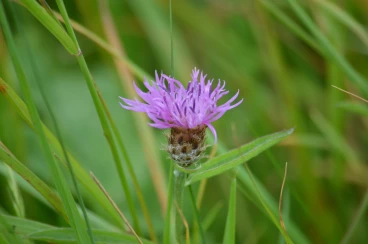 Parcours 2023 Thoricourt 008