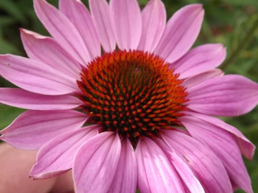 Parcours 2023 Thoricourt 019