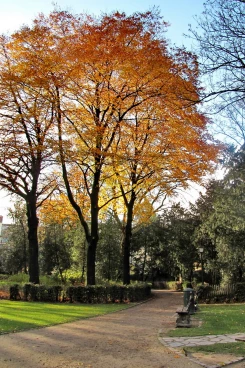 Parcours 2024 Arquennes 003